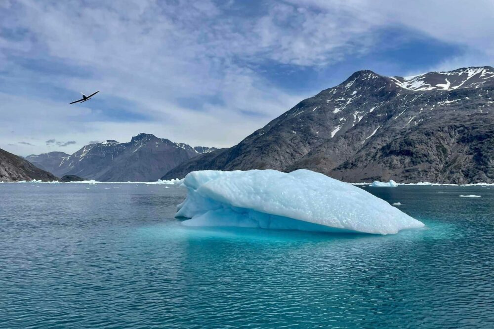 Buzzing the boat among the icebergs a 'goodbye'