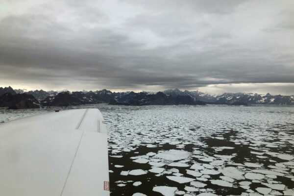Sea ice off the coast of Greenland