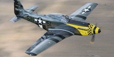 ScaleWings SW_51