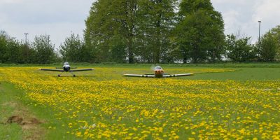 Spring weather tips